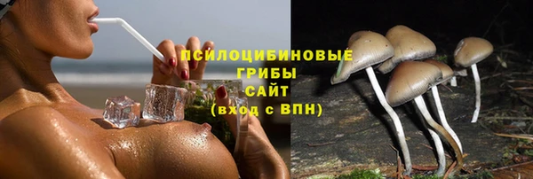 spice Зеленокумск