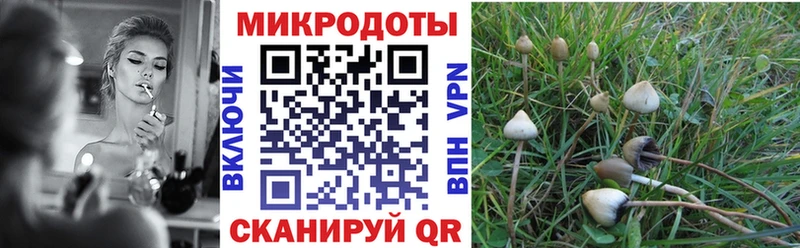 Купить где  Менделеевск  Псилоцибиновые грибы Magic Shrooms 